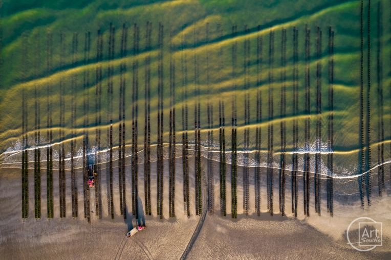 Photography, Drone Photography, Aerial, Artistic, Lifestyle