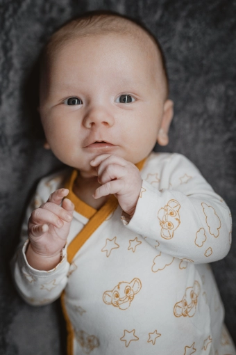 Photographie, Naissance, Traditionnel