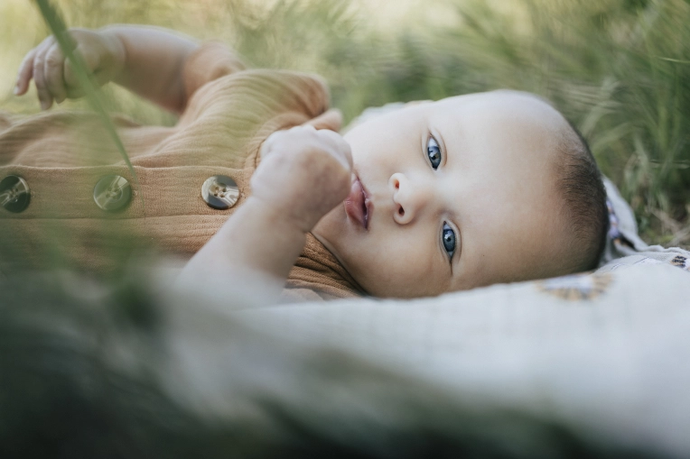 Photographie, Naissance, Traditionnel