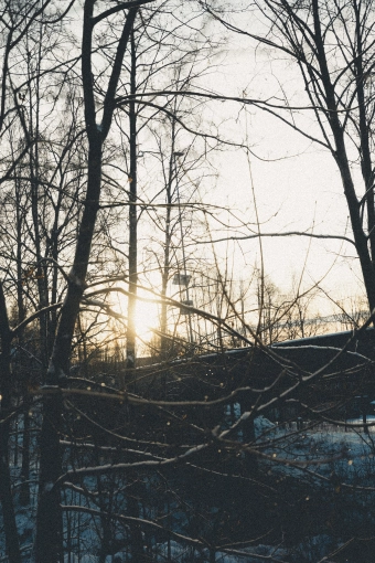 Photography, Photo retouching, Nature, Artistic