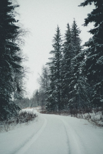 Photography, Photo retouching, Nature, Artistic