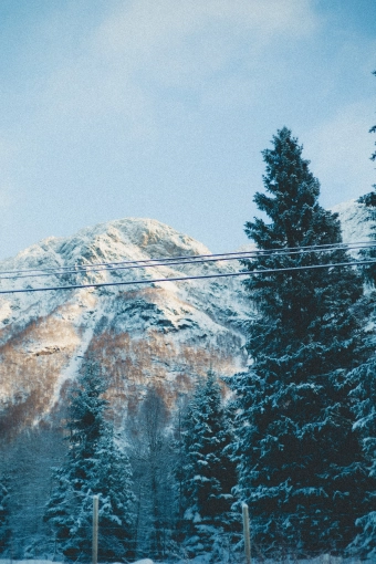 Photography, Photo retouching, Nature, Artistic