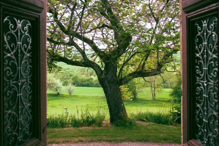 Photographie, Nature, Artistique, Traditionnel