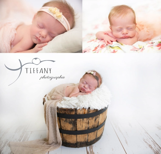 Photographie, Naissance, Artistique, Traditionnel