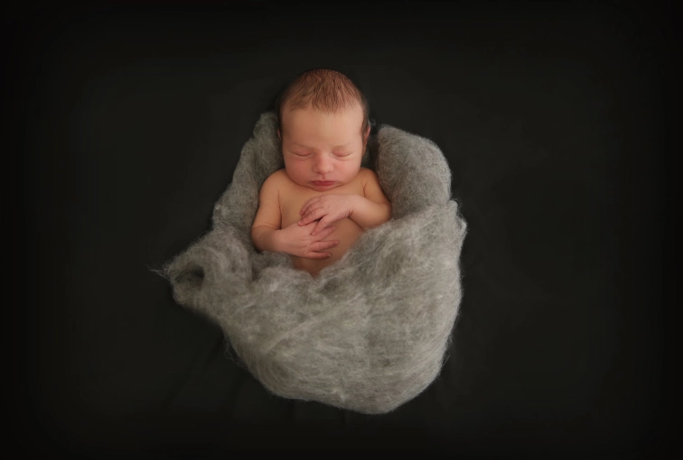 Photographie, Naissance, Artistique, Traditionnel