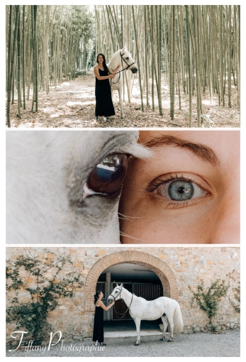 Photographie, Retouche photo, Animal de compagnie, Artistique, Traditionnel, Vintage, Lifestyle