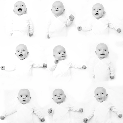 Photographie, Naissance