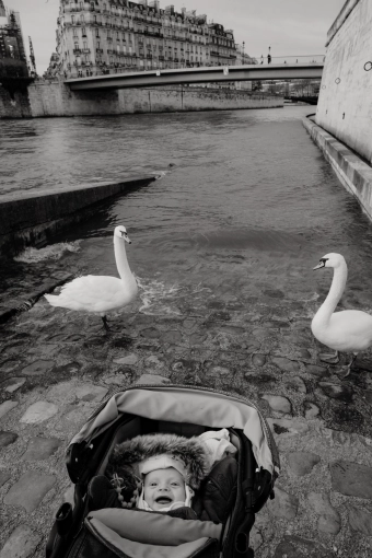 Photographie, Famille