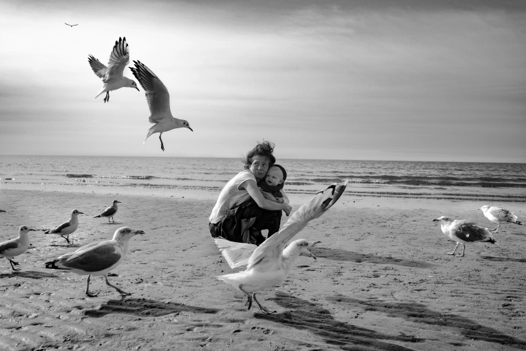 Photographie, Famille