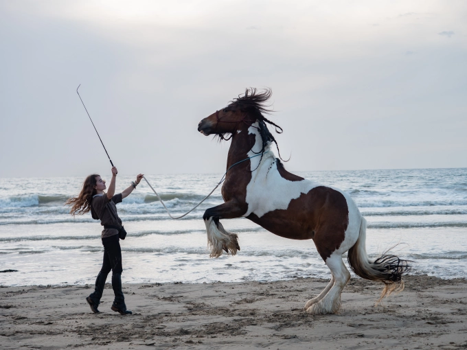 Photographie, Animal de compagnie