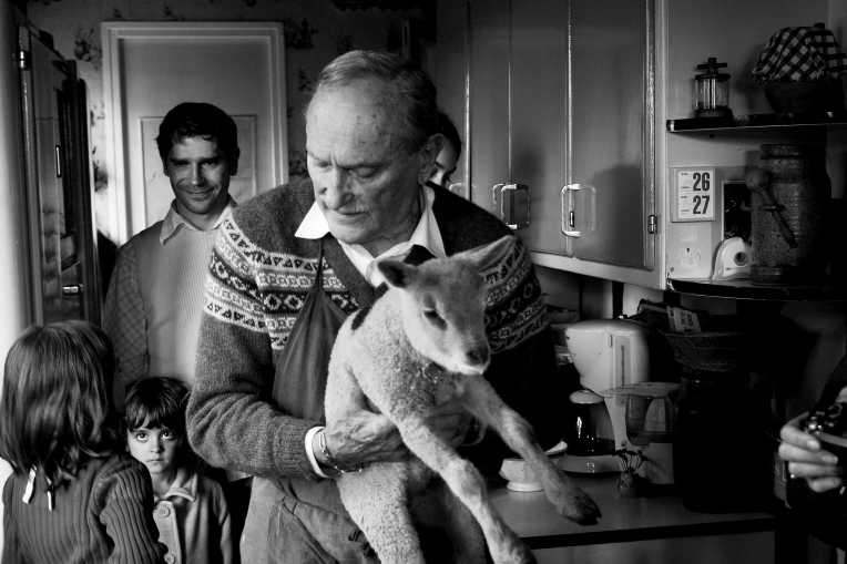 Photographie, Famille