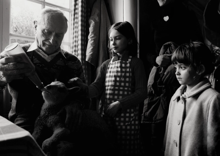Photographie, Famille