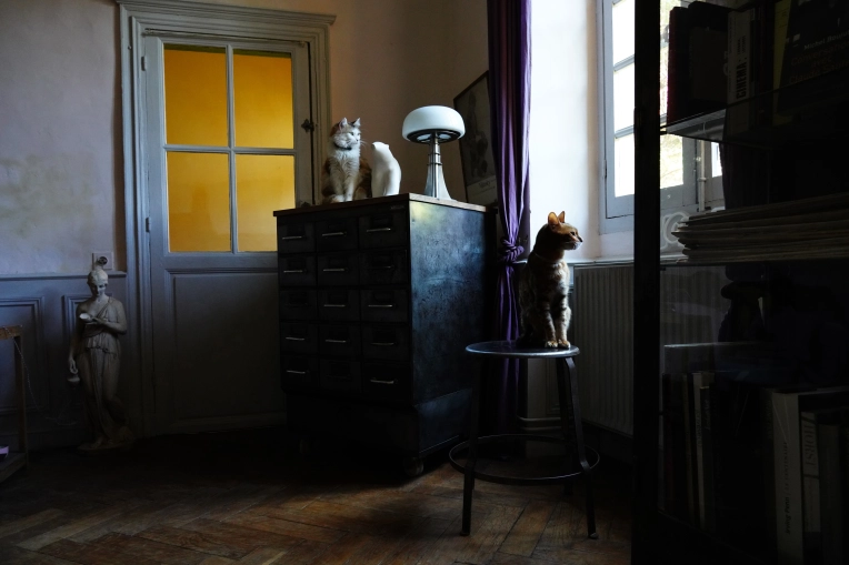 Photographie, Immobilier & Architecture, Architecture d'intérieur / Décoration, Airbnb, Artistique, Traditionnel, Vintage, Lifestyle