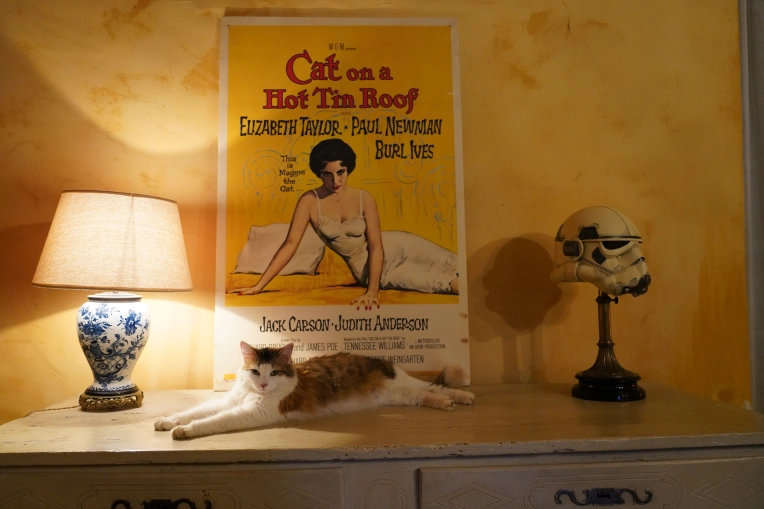 Photographie, Immobilier & Architecture, Architecture d'intérieur / Décoration, Airbnb, Artistique, Traditionnel, Vintage, Lifestyle