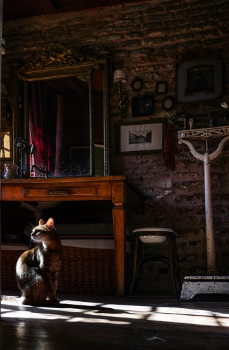 Photographie, Immobilier & Architecture, Architecture d'intérieur / Décoration, Airbnb, Artistique, Traditionnel, Vintage, Lifestyle