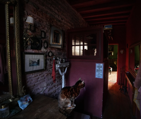 Photographie, Immobilier & Architecture, Architecture d'intérieur / Décoration, Airbnb, Artistique, Traditionnel, Vintage, Lifestyle