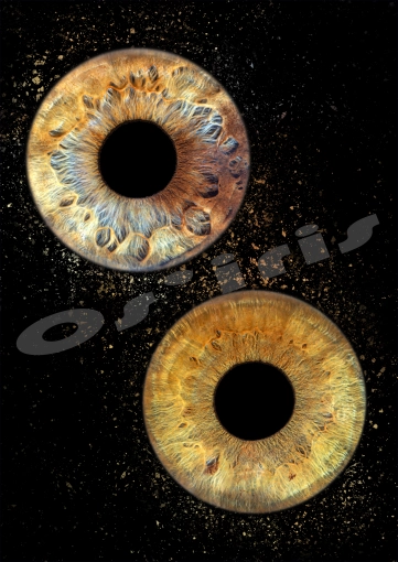 Iris