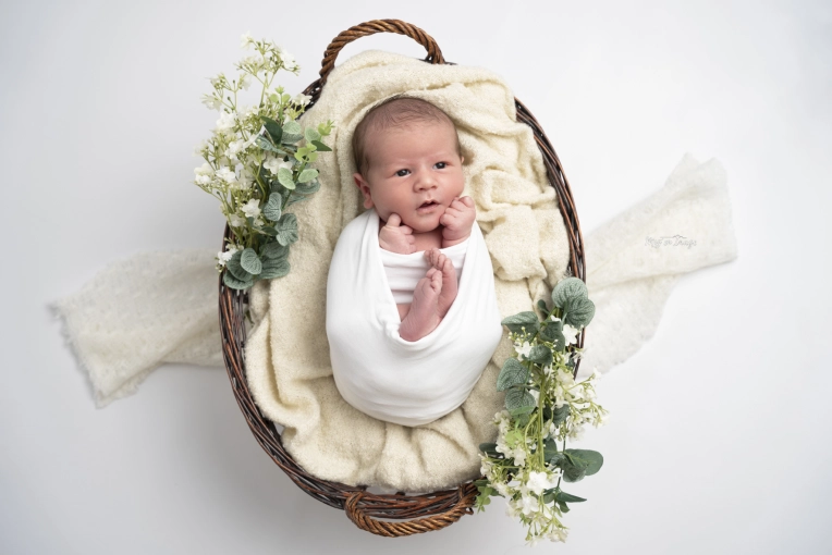 Photographie, Retouche photo, Naissance