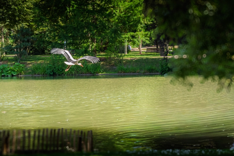 Photography, Nature, Lifestyle