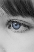 Celia DUTIL L'oeil de Lucie  Photographie