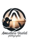 David AMADIEU AMADIEU DAVID